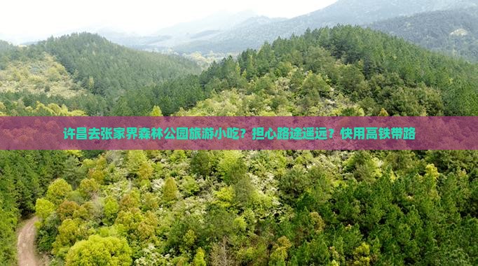 许昌去张家界森林公园旅游小吃？担心路途遥远？快用高铁带路