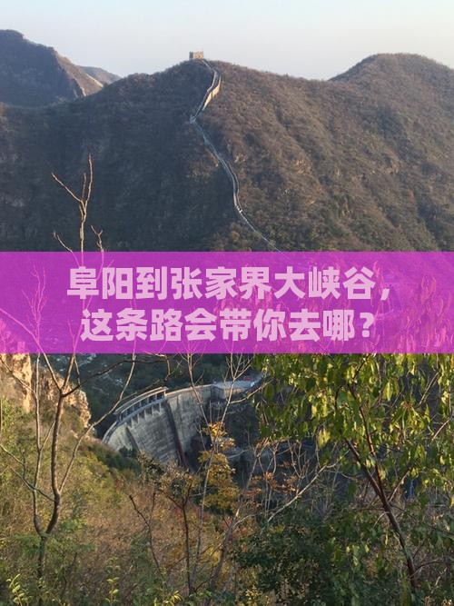 阜阳到张家界大峡谷，这条路会带你去哪？