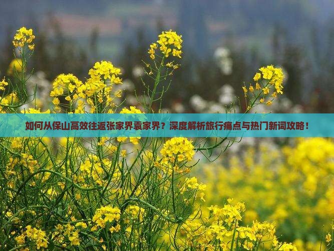 如何从保山高效往返张家界袁家界？深度解析旅行痛点与热门新词攻略！