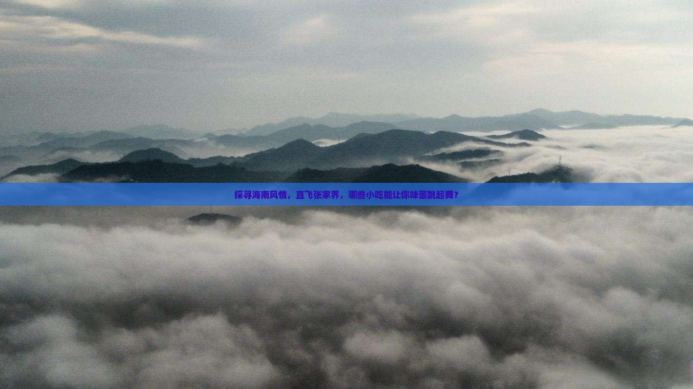 探寻海南风情，直飞张家界，哪些小吃能让你味蕾跳起舞？