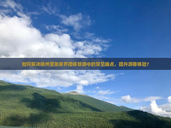 如何解决扬州至张家界团体旅游中的常见痛点，提升游客体验？