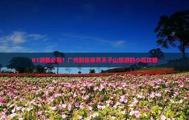 #1游客必看！广州到张家界天子山旅游的小吃攻略