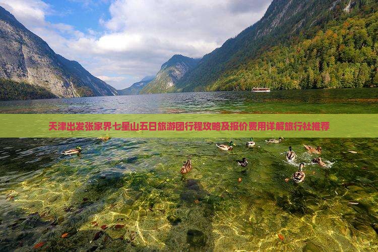 天津出发张家界七星山五日旅游团行程攻略及报价费用详解旅行社推荐