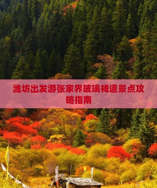 潍坊出发游张家界玻璃栈道景点攻略指南