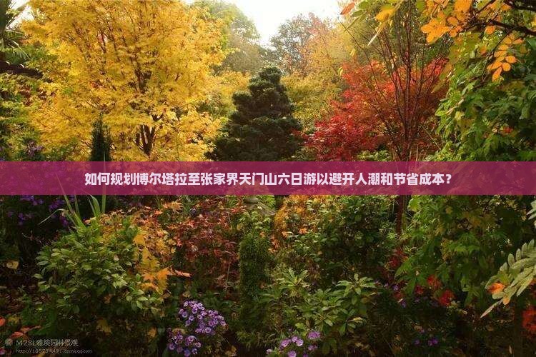 如何规划博尔塔拉至张家界天门山六日游以避开人潮和节省成本？