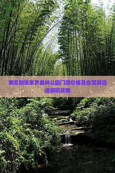 南京到张家界森林公园门票价格及自驾游沿途游玩攻略
