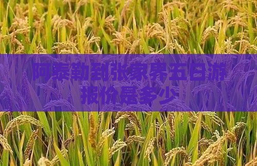 阿泰勒到张家界五日游报价是多少