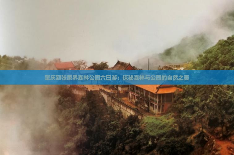 肇庆到张家界森林公园六日游：探秘森林与公园的自然之美