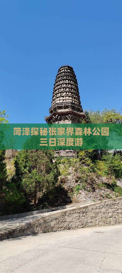 菏泽探秘张家界森林公园三日深度游