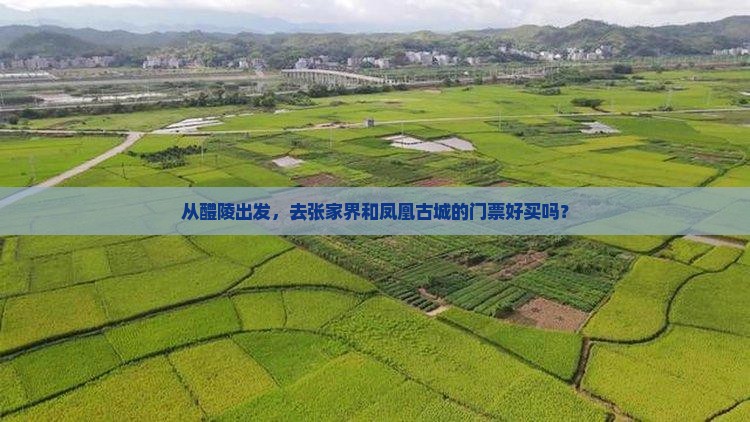 从醴陵出发，去张家界和凤凰古城的门票好买吗？