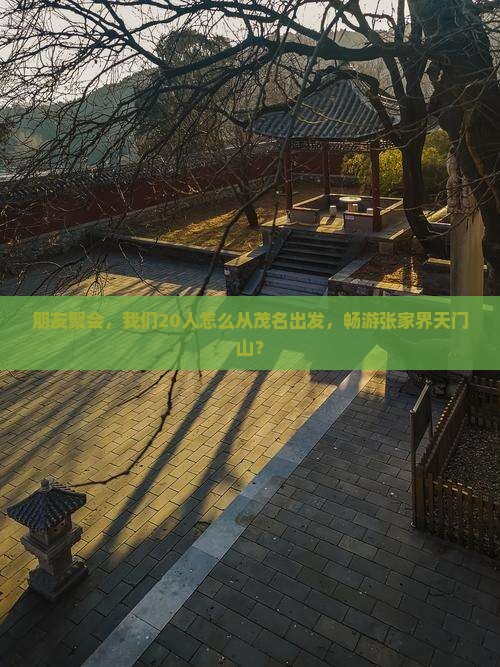 朋友聚会，我们20人怎么从茂名出发，畅游张家界天门山？
