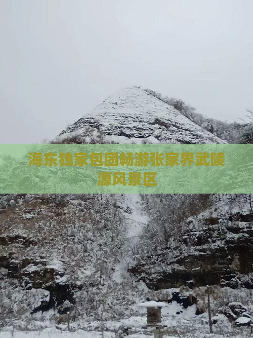 海东独家包团畅游张家界武陵源风景区