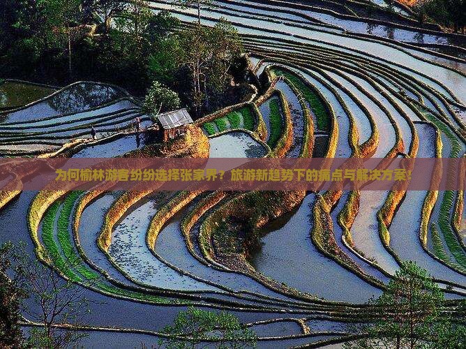 为何榆林游客纷纷选择张家界？旅游新趋势下的痛点与解决方案！