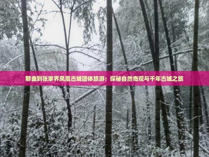 那曲到张家界凤凰古城团体旅游：探秘自然奇观与千年古城之旅