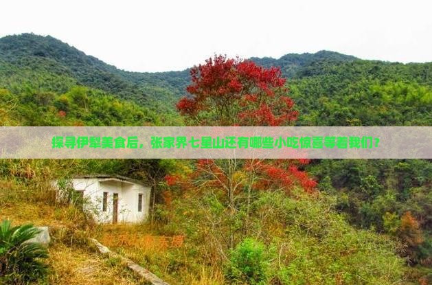 探寻伊犁美食后，张家界七星山还有哪些小吃惊喜等着我们？