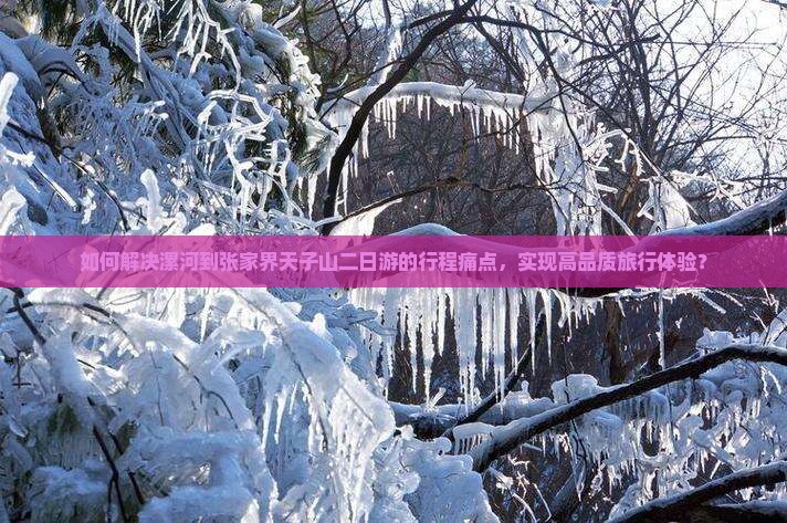如何解决漯河到张家界天子山二日游的行程痛点，实现高品质旅行体验？