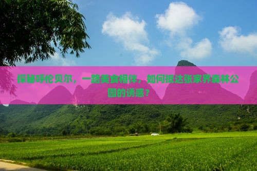 探秘呼伦贝尔，一路美食相伴，如何抵达张家界森林公园的诱惑？