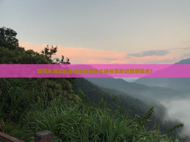 如何从海北出发游览张家界大峡谷及附近旅游景点？