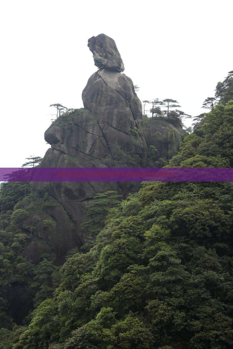 如何从海北出发游览张家界大峡谷及附近旅游景点？