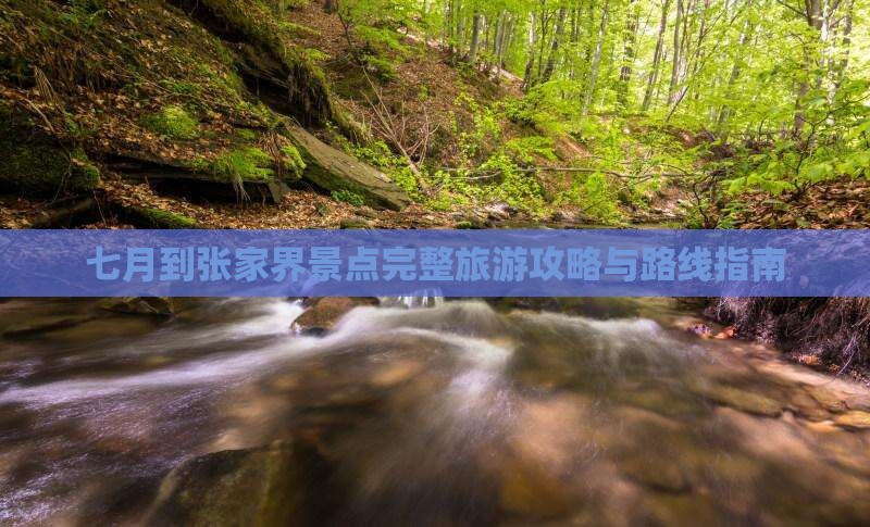 七月到张家界景点完整旅游攻略与路线指南