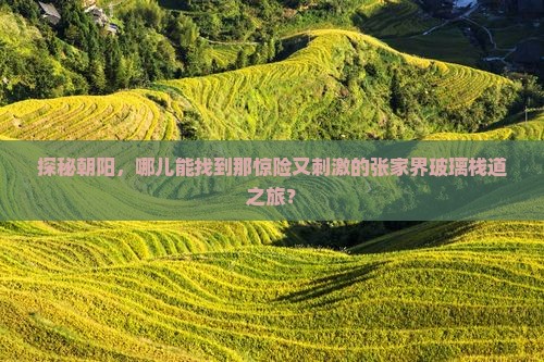 探秘朝阳，哪儿能找到那惊险又刺激的张家界玻璃栈道之旅？