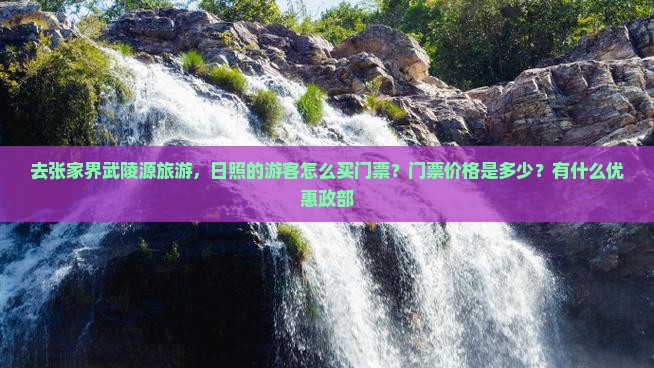 去张家界武陵源旅游，日照的游客怎么买门票？门票价格是多少？有什么优惠政部