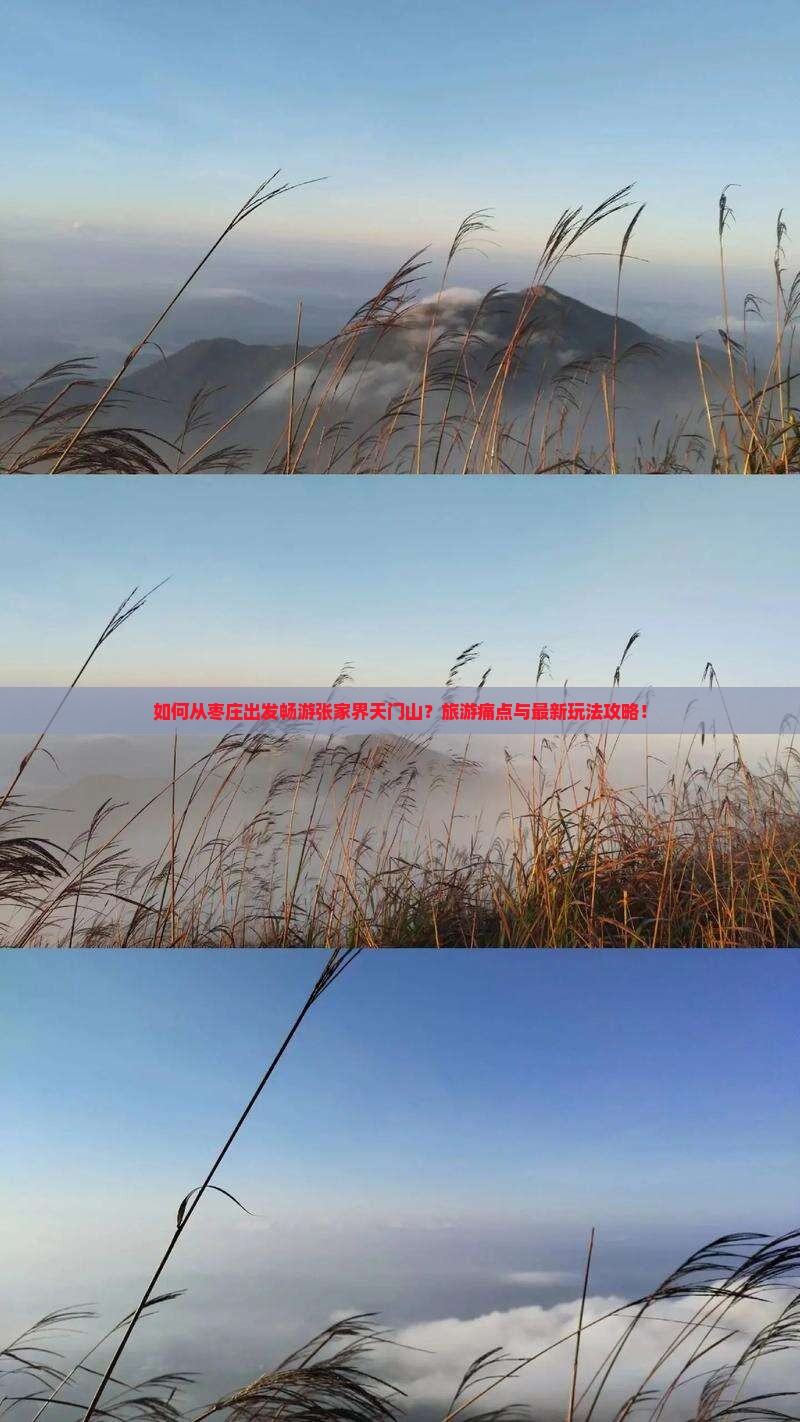 如何从枣庄出发畅游张家界天门山？旅游痛点与最新玩法攻略！