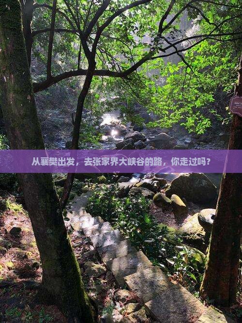 从襄樊出发，去张家界大峡谷的路，你走过吗？