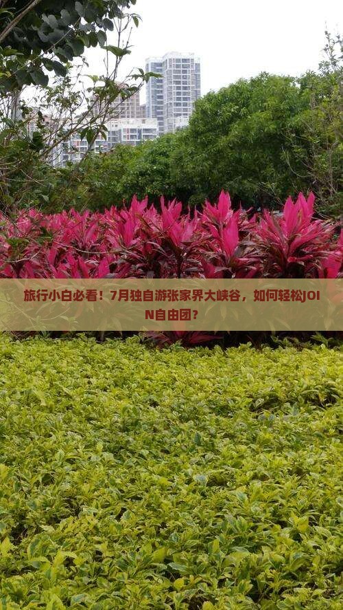 旅行小白必看！7月独自游张家界大峡谷，如何轻松JOIN自由团？
