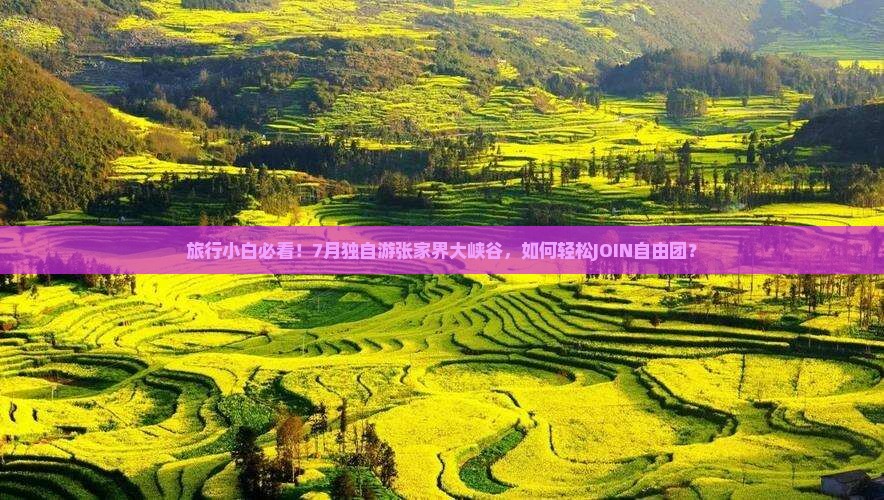旅行小白必看！7月独自游张家界大峡谷，如何轻松JOIN自由团？