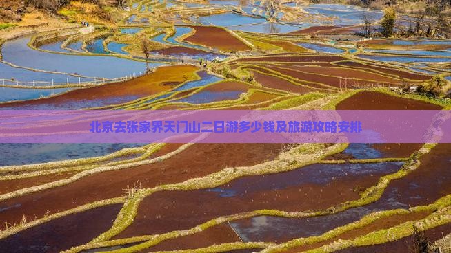 北京去张家界天门山二日游多少钱及旅游攻略安排
