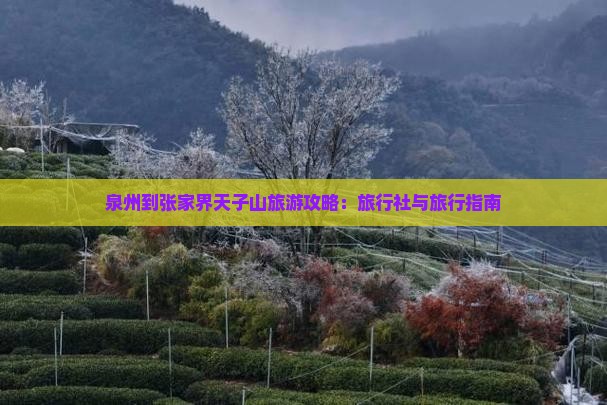 泉州到张家界天子山旅行社