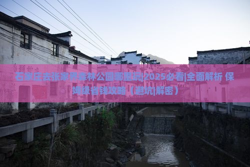 石家庄去张家界森林公园哪里玩 石家庄去张家界森林公园哪里玩