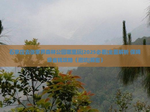 石家庄去张家界森林公园哪里玩 石家庄去张家界森林公园哪里玩