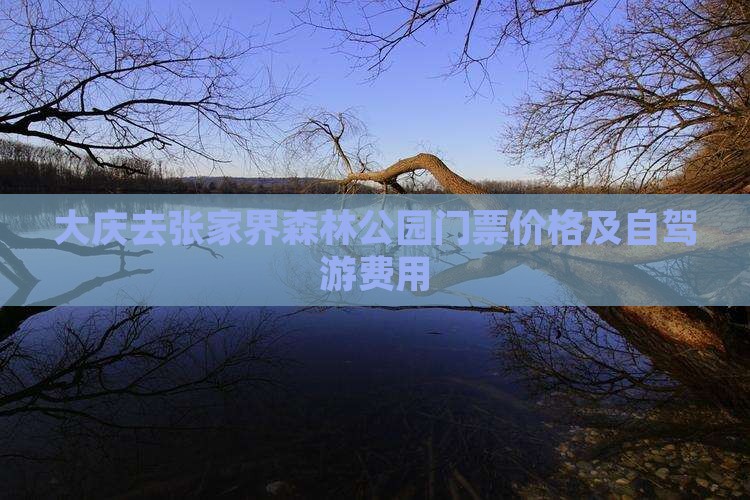 大庆去张家界森林公园门票