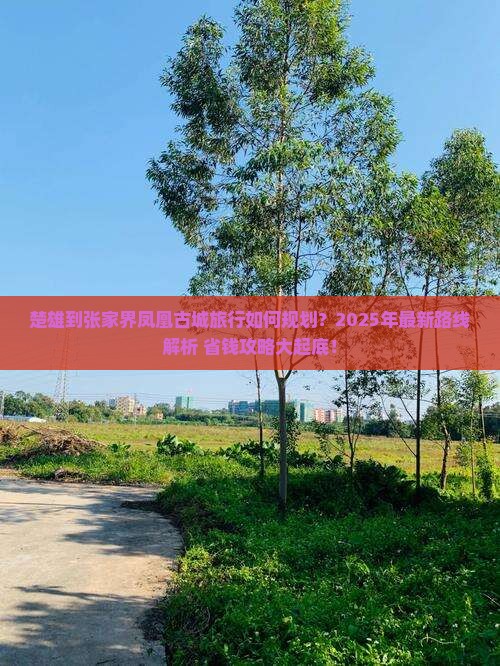 楚雄到张家界凤凰古城旅行社