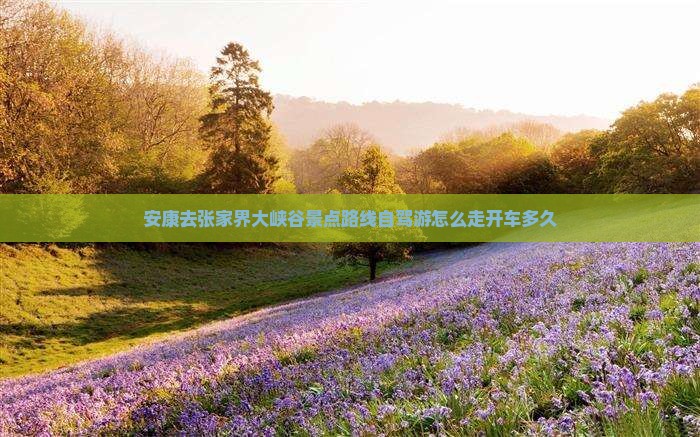 安康去张家界大峡谷景点