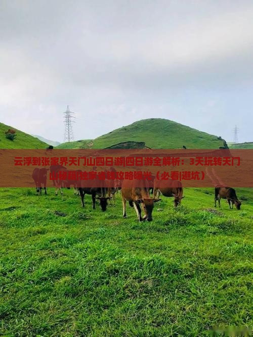 云浮到张家界天门山四日游