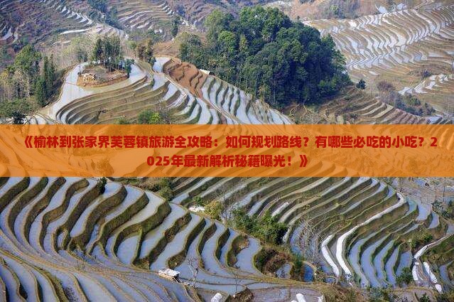 榆林到张家界芙蓉镇旅游小吃