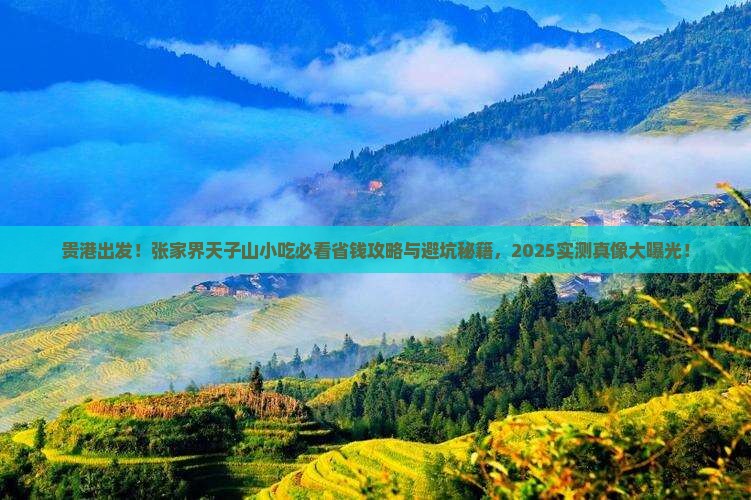 贵港去张家界天子山旅游小吃