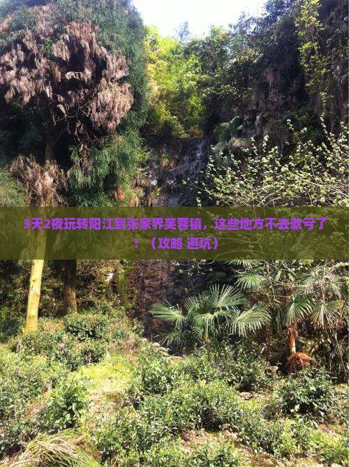 阳江到张家界芙蓉镇必去地