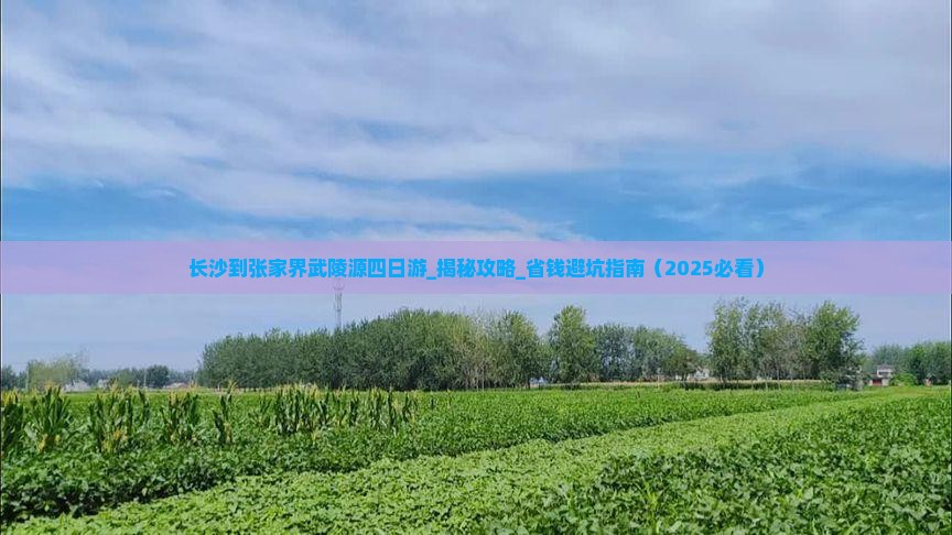 长沙到张家界武陵源四日游