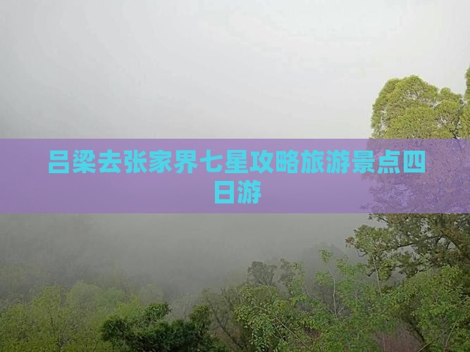 吕梁去张家界七星山四日游