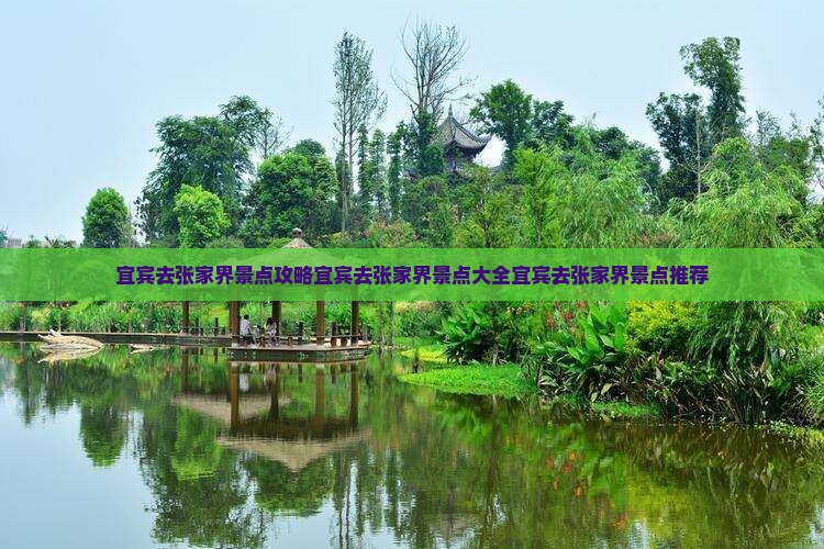 宜宾去张家界景点