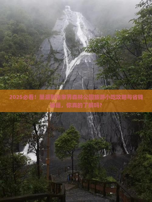 巢湖到张家界森林公园旅游小吃