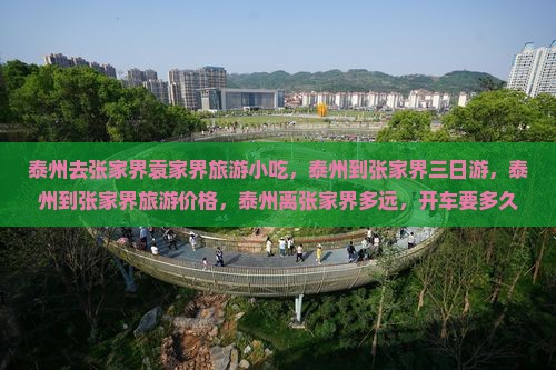 泰州去张家界袁家界旅游小吃