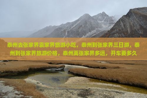 泰州去张家界袁家界旅游小吃
