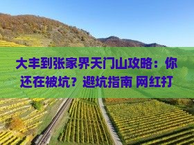 大丰到张家界天门山攻略