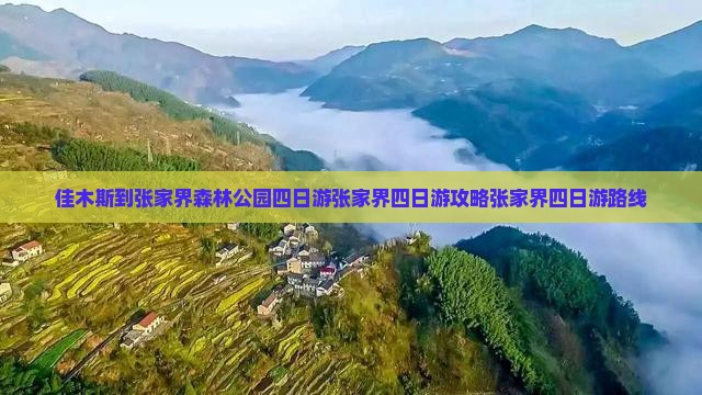 佳木斯到张家界森林公园四日游