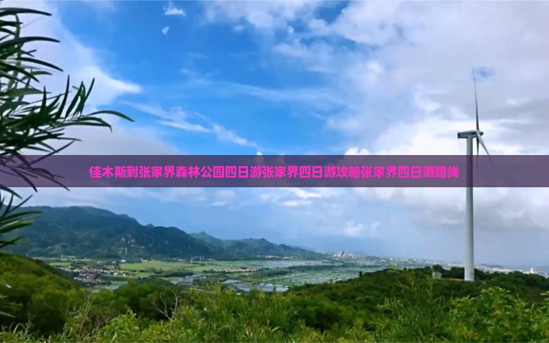 佳木斯到张家界森林公园四日游